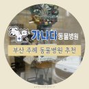 가나다 동물병원 | 부산 사상 주례 동물병원 추천 :: 가나다동물병원