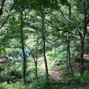 용문산자연휴양림 이미지