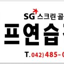 타임스크린골프 네이버블로그