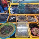 고흥밥상 이미지