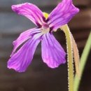 원트 청주 상당 이미지