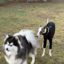 동산충전소 이미지