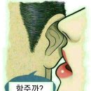혼떡 이미지