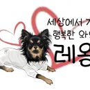 더히로글램핑 이미지