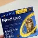 해운대동물약국 이미지