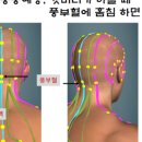 임종범이비인후과의원 이미지