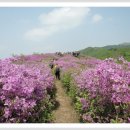 지리산신선둘레길 이미지