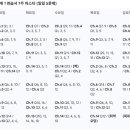 홀짝 - 속초시 | 홀짝
