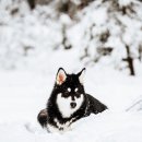 방주동물병원 이미지