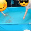 동해웰빙레포츠타운 | [동해시 무릉제 2025 다녀온 후기] 비 속에서도 즐거웠던 축제 현장!