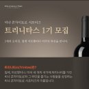 트리니타스 이미지
