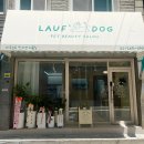 눈 독[Noon Dog] | 영등포 애견미용 추천 라우프독(LAUF DOG) 단골의 내돈내산 찐후기