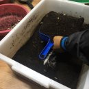 영천별빛굼벵이농장 이미지