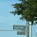 바다산책펜트하우스 | 부산 가족호캉스 숙소 추천 더 아난티 펜트하우스 코브 이용 후기