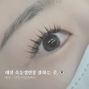 이끌림 | 도안동 속눈썹 연장 맛집 찾았어요, 이끌림뷰티 리얼 후기