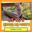 공기붓 | 플로엑셀 사용법 검정이끼 붓이끼 제거후기
