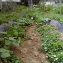 여주-0714 이미지