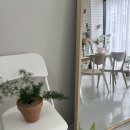 마산 양덕동꽃집 &#39;핌플라워샵&#39; (생일 꽃다발, 인테리어화분 구매후기)