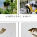 환경생태평가연구원 이미지