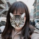 메이블헤어 이미지