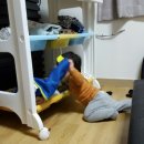 토리순대국 이미지