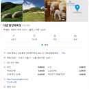 대관령초등학교 | 대관령 양떼목장 후기 [겨울 대관령 가볼만한 곳 추천]