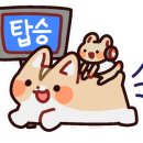 교반비빔밥&카레 네이버블로그