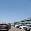 대한동물약국 | 평택 창고형약국 메가타운약국 다녀온 후기, 가격 진짜 쌀까? 상비약부터 반려동물약까지