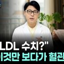 이 수치 5 오르면 사망률 33% 증가. LDL 말고 이 수치도 꼭 확인하세요. 혈액검사 결과지에 숨은 수치 4가지. 이미지