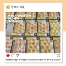 석이농장 | 장호원 햇사레 복숭아 맛있는 곳 석이농원 파지 복숭아 내돈내산 후기