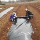 수민농장 이미지