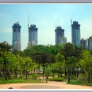 숲속교 앞 이미지