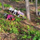 약천농장 이미지