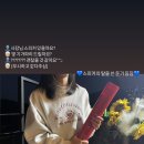 스테이반시 이미지