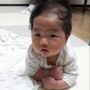 다복파크 이미지