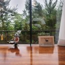 우연히설렘 이미지