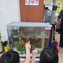 씨유속초교동중앙점 | 속초칼국수맛집 교동 속초그린생칼국수- 아이들과 방문한 감성 식당 후기