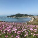 (주)청주여객터미널 이미지