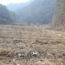 금강바이오텍 이미지