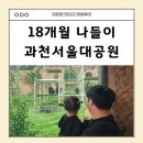 북문목욕탕 | 18개월 아기랑 과천동물원 서울대공원 오픈런 후기