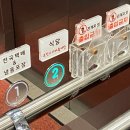 동문취향게스트하우스 | 수련일지(호두와 비달이🤍) | 우진해장국, 픽업카페 소금빵, 빈투지 카페, 동문취향게스트하우스 숙소 후기