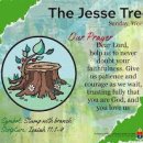 20251207 가해 대림2주일 도봉교회 설교 이미지