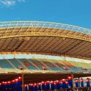 틴틴스타 페스티벌 | 2024 안산페스타 김홍도문화제 음식문화제 펫페스티벌