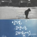 가방위에 고양이 이미지