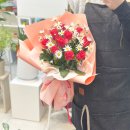 로라스텝 이미지