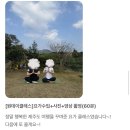 베르데힐링 | 🌿 겨울 제주 여행 힐링코스 찾는다면?요가베르데 원데이클래스 후기 모음