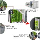 ‘식물이 LED 찾아 이동’ 세계 최초 수직 무빙 컨테이너 식물공장 등장 이미지