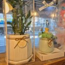 칠성남로 이미지