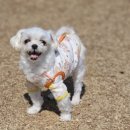 멍스토리 이미지