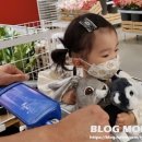 모정의 바다 | 기장 아난티 2박3일 이렇게 돌면 끝 | 관광 쇼핑 맛집 코스 공개